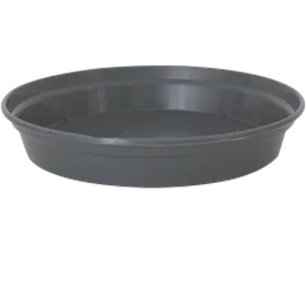 Grey Saucer